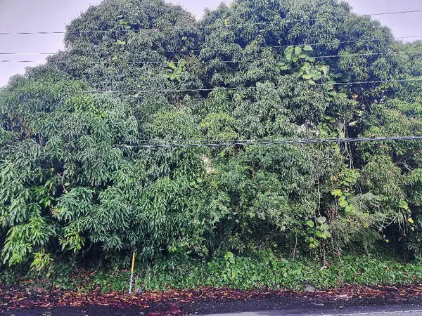 81-6242 NAPOOPOO RD, Captain Cook, HI 96704
