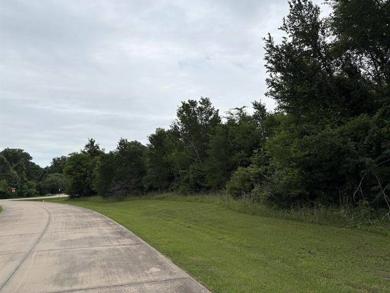 1757 Canyon Lake Road, Wills Point, TX 75169