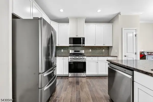 16 Shadetree Ln, Mount Arlington Boro, NJ 07856