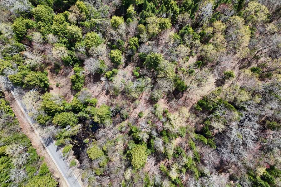 0 Lochlin RD, Minden Hills, ON K0M 1S0