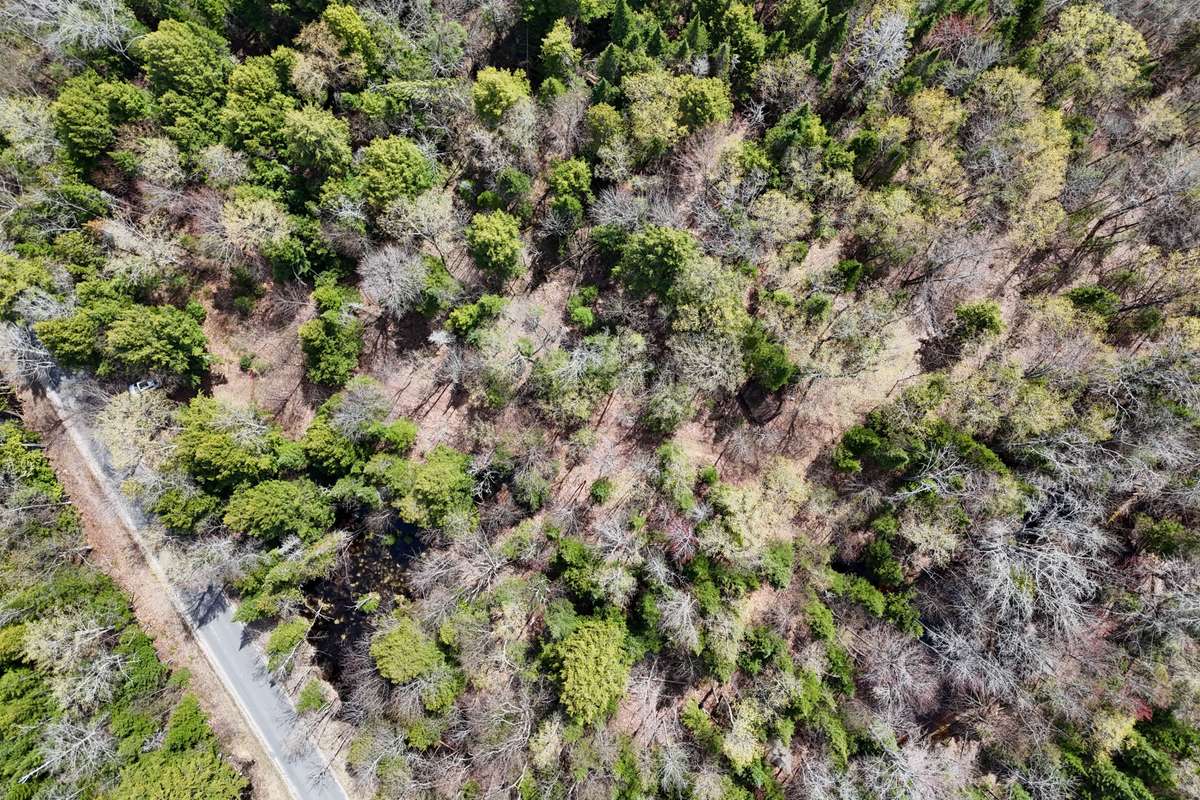 0 Lochlin RD, Minden Hills, ON K0M 1S0