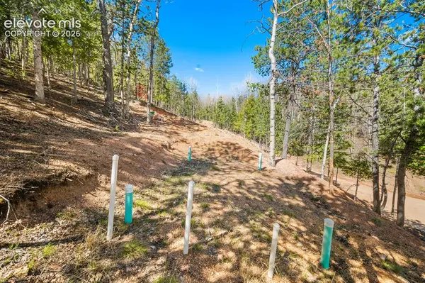 413 Wakanda TRL, Woodland Park, CO 80863