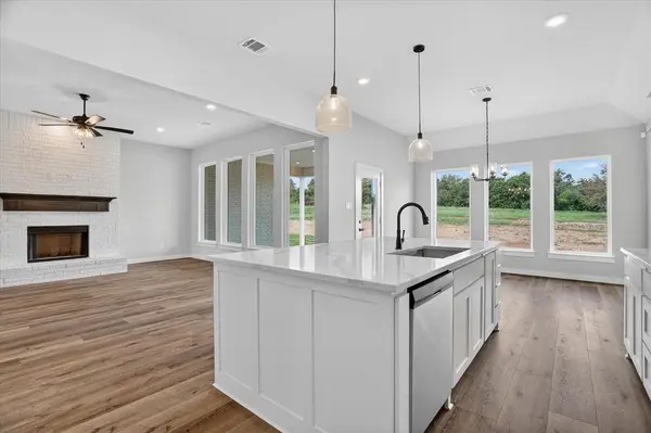 317 Skeen Peak, Springtown, TX 76082