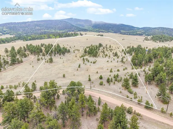 TBD Ranger Station RD, Florissant, CO 80846