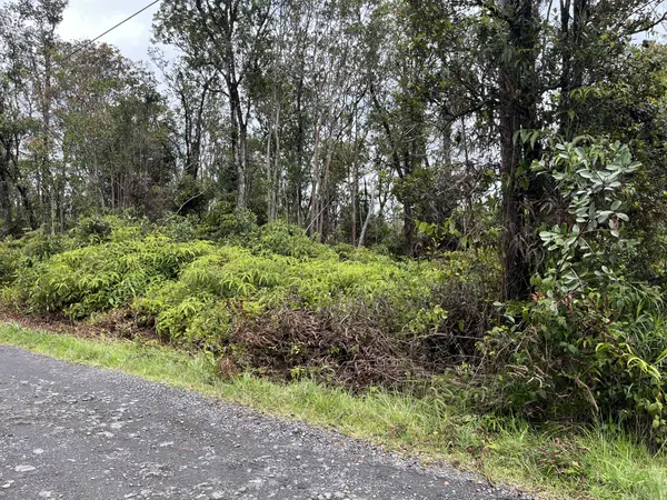 ALA NAULANI RD, Volcano, HI 96785