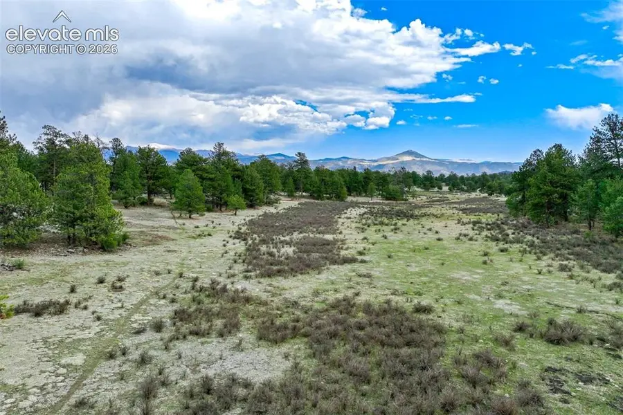 Tract 103 Doe Valley RD, Guffey, CO 80820