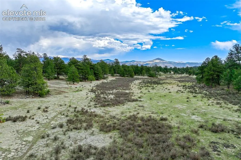 Tract 103 Doe Valley RD, Guffey, CO 80820