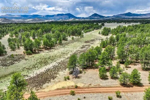 Tract 103 Doe Valley RD, Guffey, CO 80820