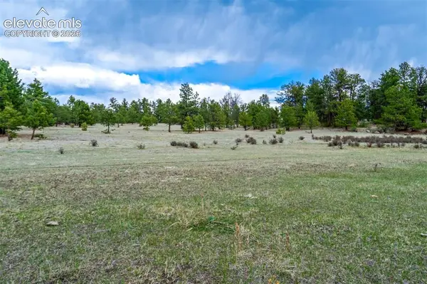 Tract 103 Doe Valley RD, Guffey, CO 80820