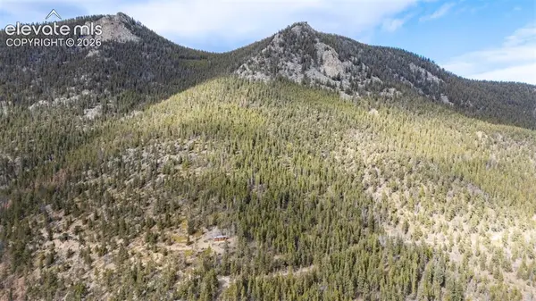 Alps Mountain RD, Idaho Springs, CO 80452