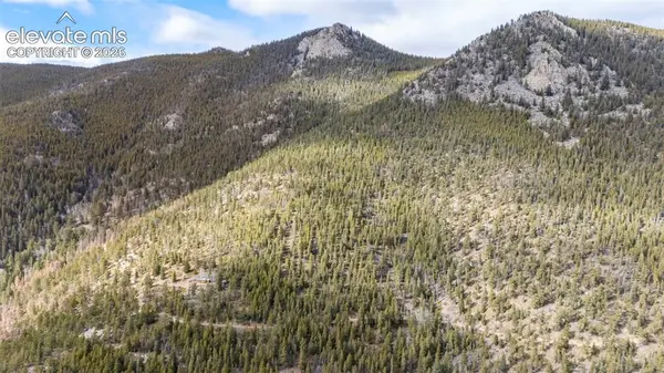Alps Mountain RD, Idaho Springs, CO 80452