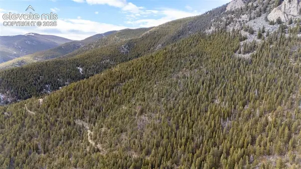 Alps Mountain RD, Idaho Springs, CO 80452