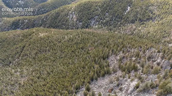 Alps Mountain RD, Idaho Springs, CO 80452