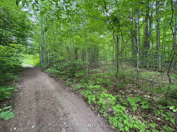 1043 Lawrence Pit RD, Muskoka Lakes, ON P0B 1M0