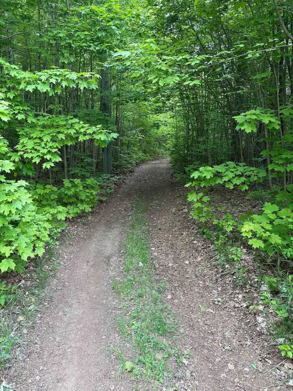 1043 Lawrence Pit RD, Muskoka Lakes, ON P0B 1M0