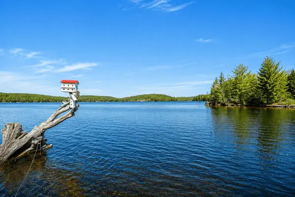 13603 Raven Lake - East Shore N/A, Algonquin Highlands, ON P0A 1E0