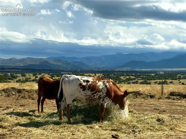 8650 HIGHWAY 67, Florence, CO 81226