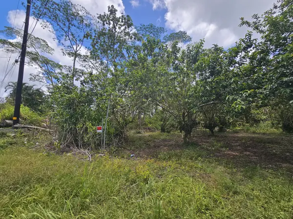 34TH AVE, Kurtistown, HI 96760