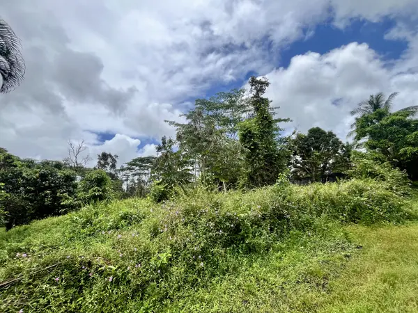 LEHUA RD, Pahoa, HI 96778