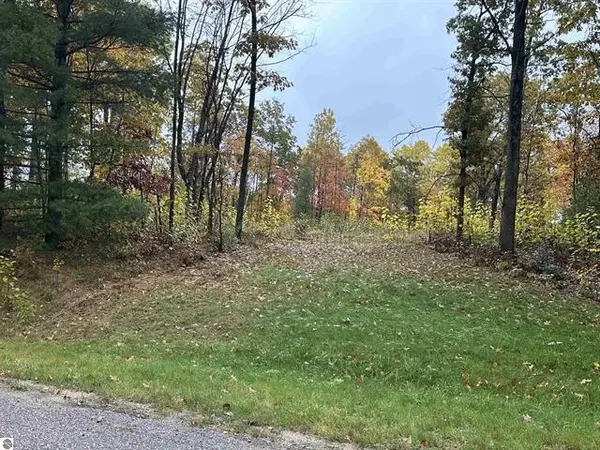 Lot #6 N Circle E, Surrey Twp, MI 48622