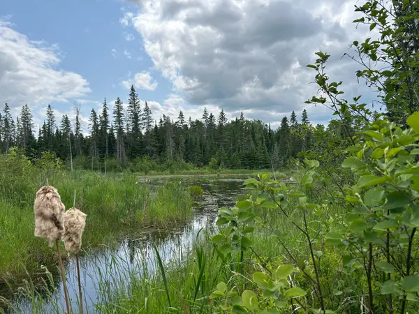 0 Mast RD, Mcnab/braeside, ON K7S 3G8