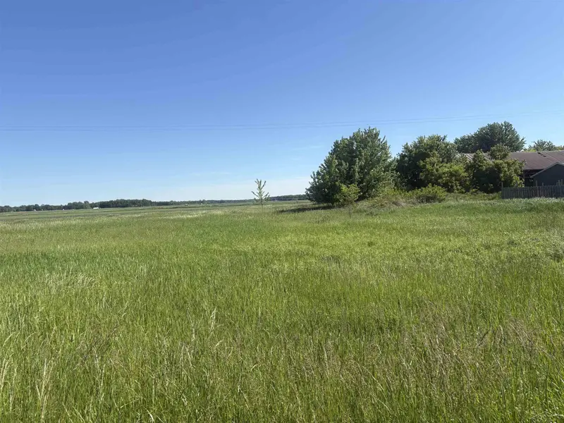 0 Swan Creek RD, Fremont Twp, MI 48626