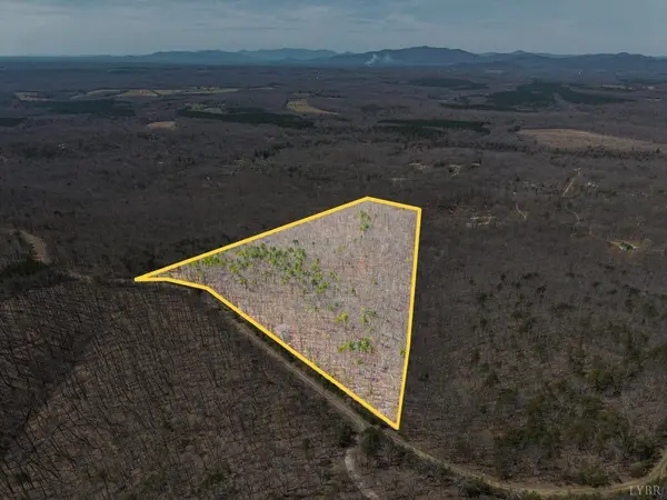 0 Larkin Mountain, Amherst, VA 24521