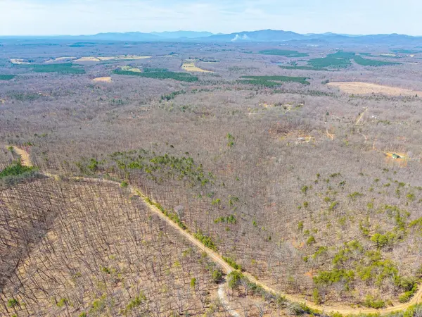 0 Larkin Mountain, Amherst, VA 24521
