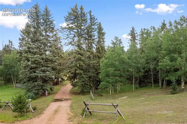 135 Daniwood GRV, Florissant, CO 80816