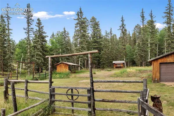 135 Daniwood GRV, Florissant, CO 80816