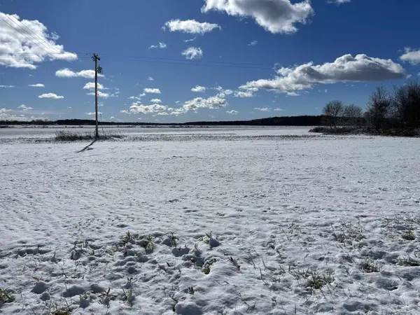 0 Swan Creek RD, Fremont Twp, MI 48626