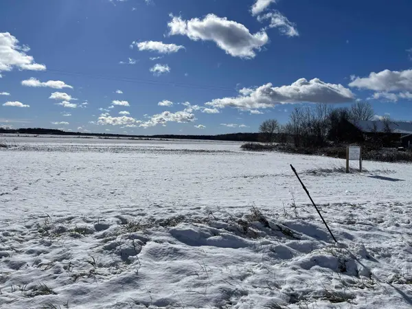 0 Swan Creek RD, Fremont Twp, MI 48626