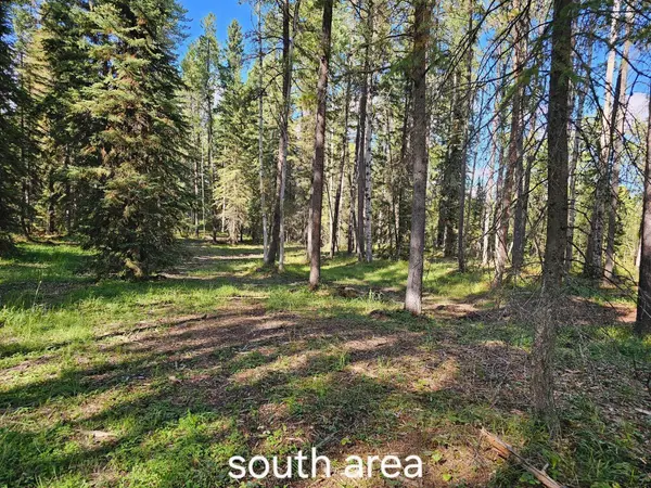 Pine Ridge ALY, Rural Clearwater County, AB T4T 1A7