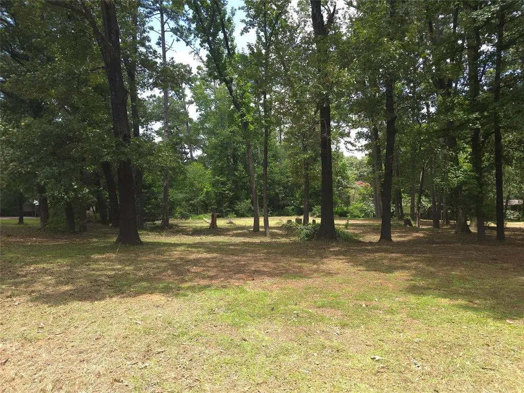 208 Mountain View Drive, Daingerfield, TX 75638