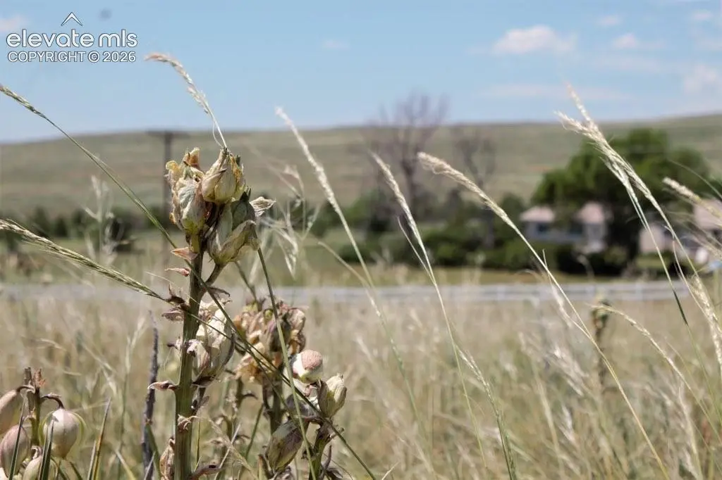 Tract 8 McClelland RD, Calhan, CO 80808