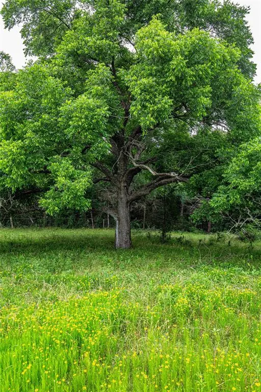 TBD Gholson RD, Waco, TX 76705