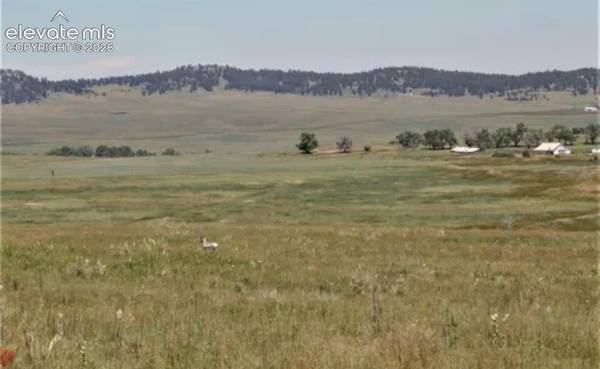Tract 12 McClelland RD, Calhan, CO 80808