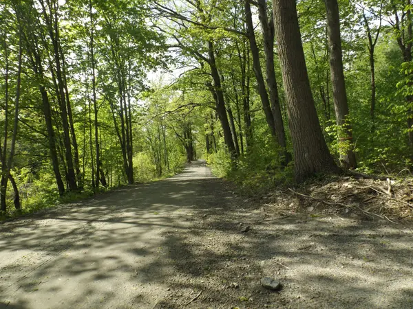 Severed Buckeye RD, Muskoka Lakes, ON P0C 1H0