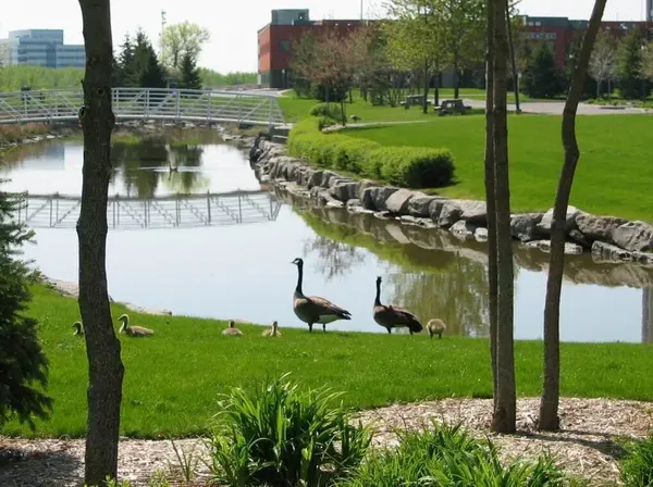 66 Kimbolton CRES, Kanata, ON K2K 2S4