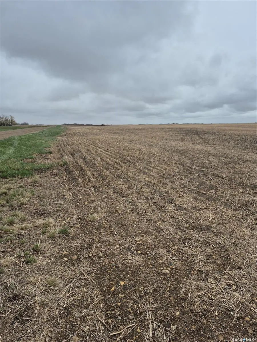 Rural Address, Arm River Rm No. 252, SK S0G 1A0