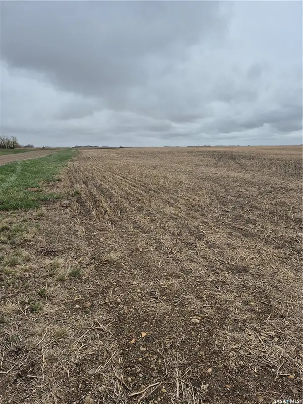 Rural Address, Arm River Rm No. 252, SK S0G 1A0