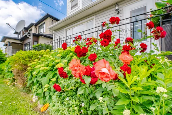 7 Earl ST, Mississauga, ON L5M 1N6