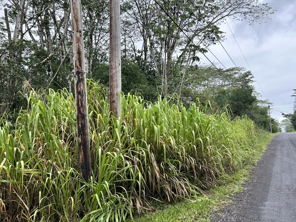 14TH AVE, Keaau, HI 96749