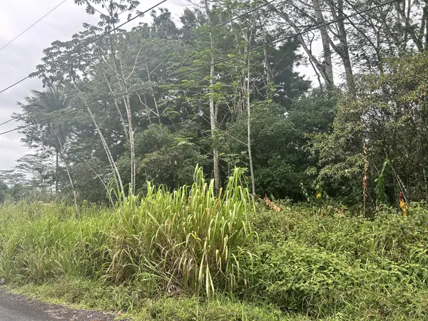 14TH AVE, Keaau, HI 96749