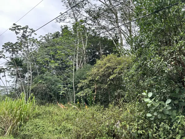 14TH AVE, Keaau, HI 96749