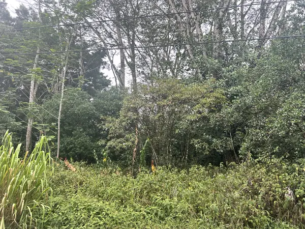 14TH AVE, Keaau, HI 96749