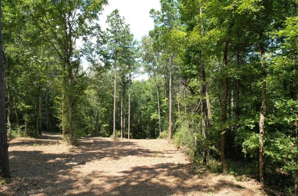 TBD County Road 3704, Joaquin, TX 75954