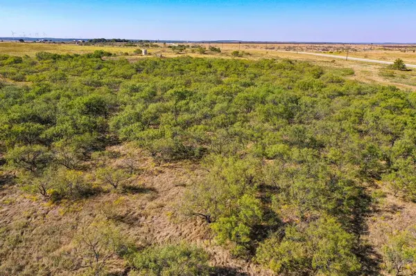 54.53 Acres Hwy 199 Road, Jacksboro, TX 76458