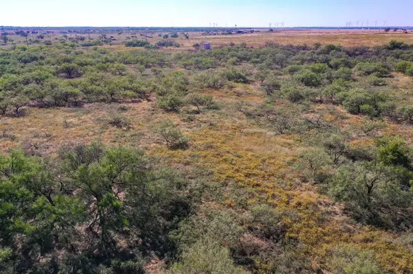 54.53 Acres Hwy 199 Road, Jacksboro, TX 76458
