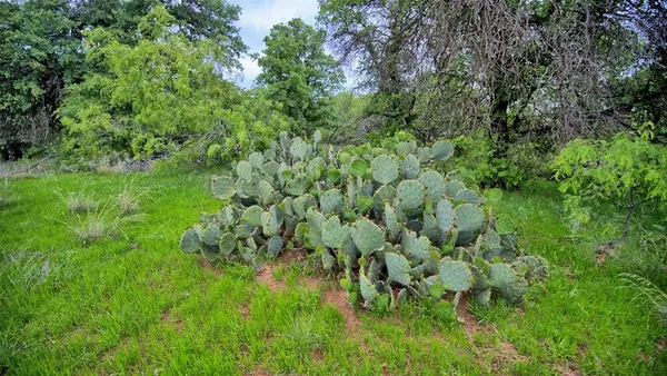 0 Watson, Henrietta, TX 76365